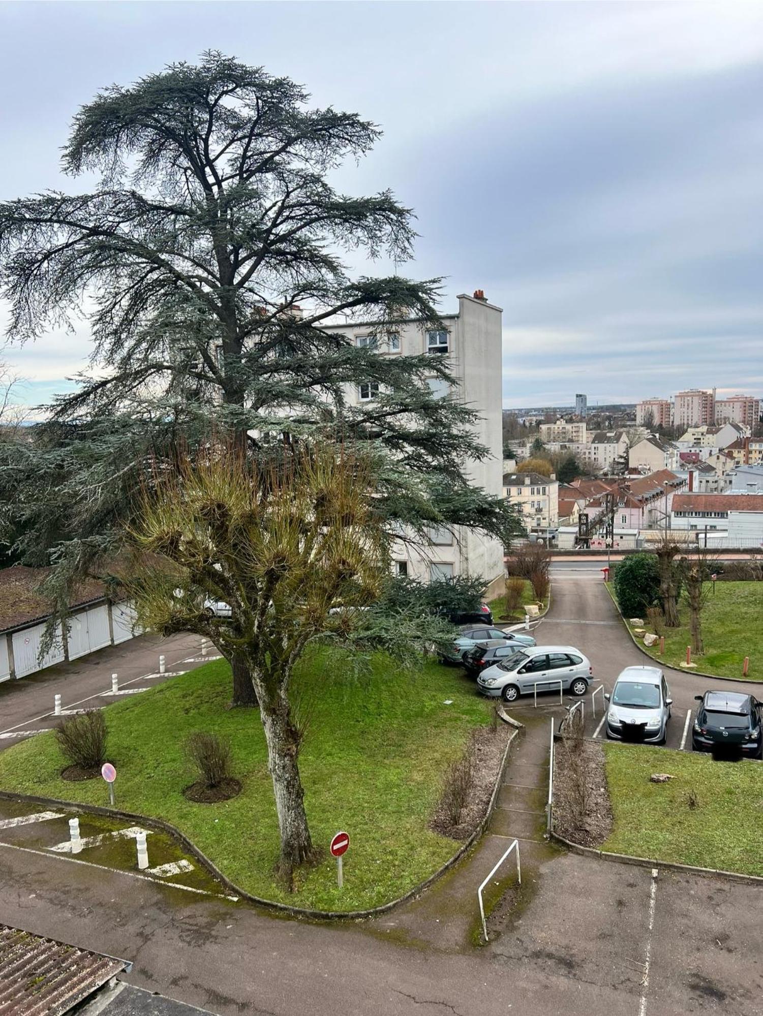 Appartamento Le Bellevue - T3 - Gare & Les Jardins Darcy - Parking Free Digione Esterno foto